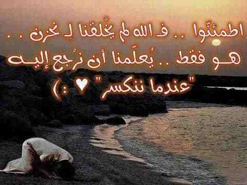 img_1368960668_765