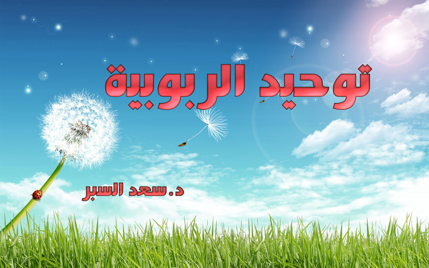 توحيد الربوبية - فتاوى واحكام