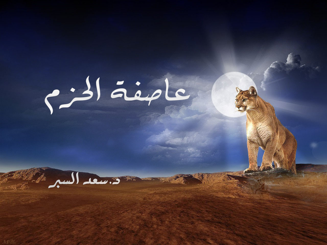 عاصفة الحزم - خطب الجمعة
