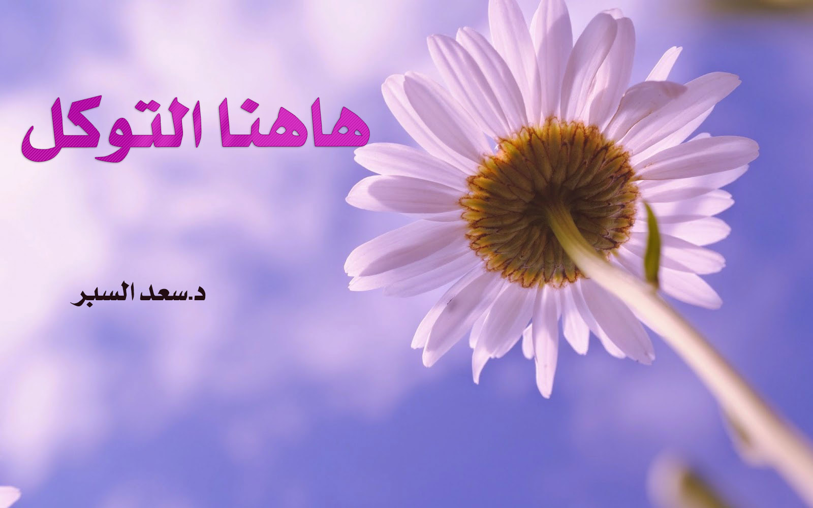 هاهنا التوكل - خطب الجمعة