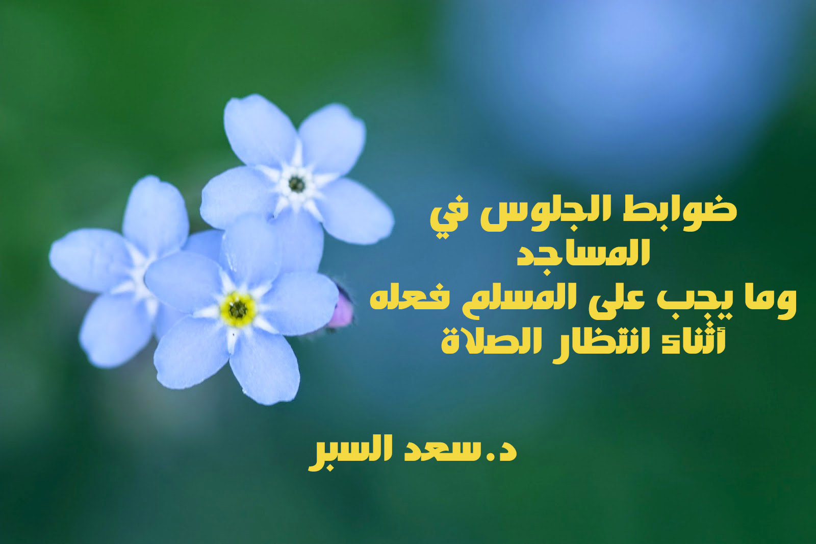 ضوابط الجلوس في المساجد وما يجب على المسلم فعله أثناء انتظار الصلاة - فتاوى اسلامية
