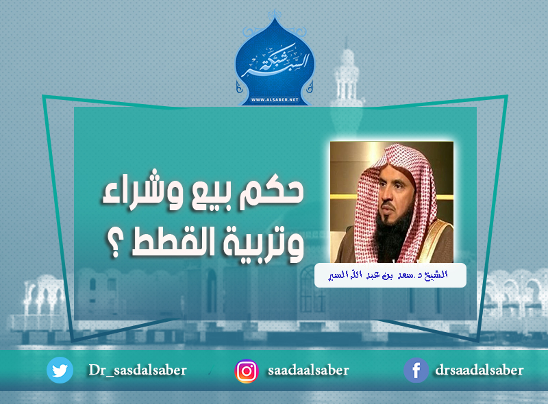 حكم بيع وشراء وتربية القطط ؟