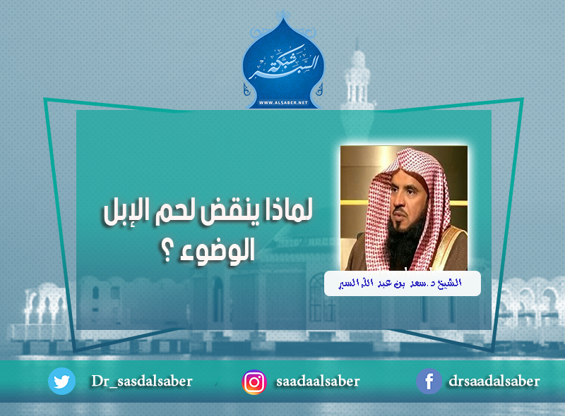 لماذا ينقض لحم الإبل الوضوء ؟